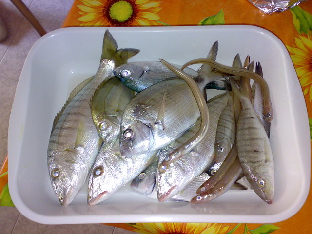 اضغط على الصورة لعرض أكبر.&nbsp;

الإسم:	venetico.jpg&nbsp;
مشاهدات:	1&nbsp;
الحجم:	102.6 كيلوبايت&nbsp;
الهوية:	10756919