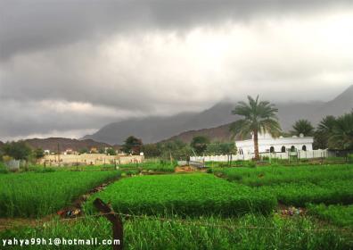 ��� ����