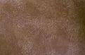 اضغط على الصورة لعرض أكبر. 

الإسم:	AWeb-_051122-1_Leather_Wash.jpg 
مشاهدات:	104 
الحجم:	45.3 &#1603;&#1610;&#1604;&#1608;&#1576;&#1575;&#1610;&#1578; 
الهوية:	10706404