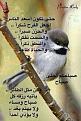 اضغط على الصورة لعرض أكبر. 

الإسم:	IMG-20120530-WA000.jpg 
مشاهدات:	61 
الحجم:	30.7 &#1603;&#1610;&#1604;&#1608;&#1576;&#1575;&#1610;&#1578; 
الهوية:	10739978