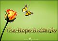 اضغط على الصورة لعرض أكبر. 

الإسم:	thehopebutterfly-sam1.jpg 
مشاهدات:	75 
الحجم:	193.5 &#1603;&#1610;&#1604;&#1608;&#1576;&#1575;&#1610;&#1578; 
الهوية:	10765639