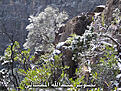 اضغط على الصورة لعرض أكبر.&nbsp;

الإسم:	Jabalshams3.jpg&nbsp;
مشاهدات:	182&nbsp;
الحجم:	51.4 كيلوبايت&nbsp;
الهوية:	10766494
