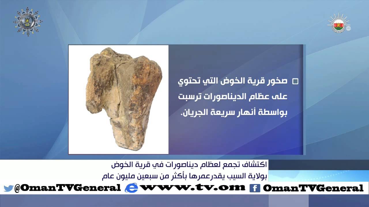 اكتشاف تجمع لعظام ديناصورات في قريةالخوض بولاية السيب يقدرعمرها بأكثرمن سبعين مليون سنة