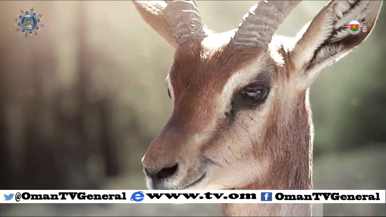 English News Bulletin – Saturday, 7 November 2015