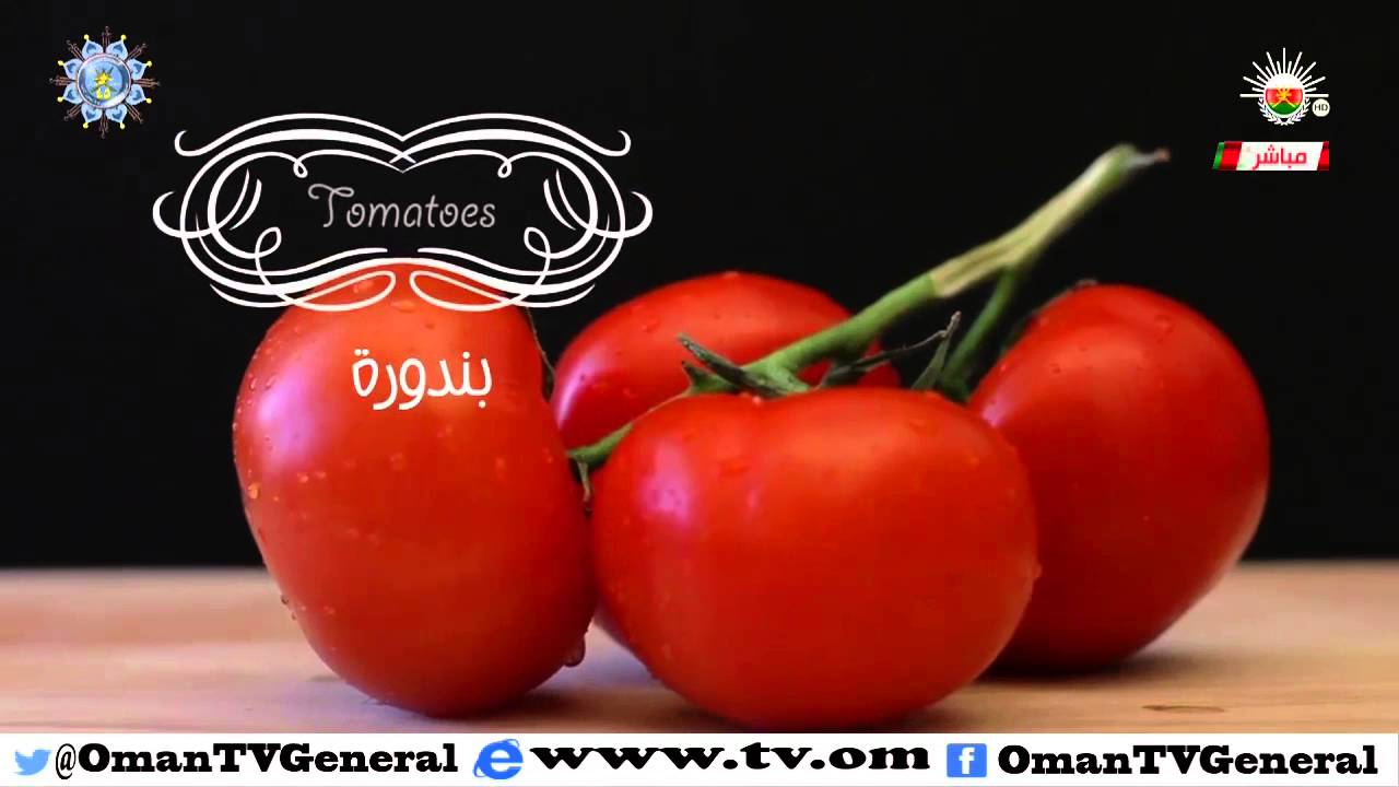 قهوة الصباح | الثلاثاء 1 ديسمبر 2015 م