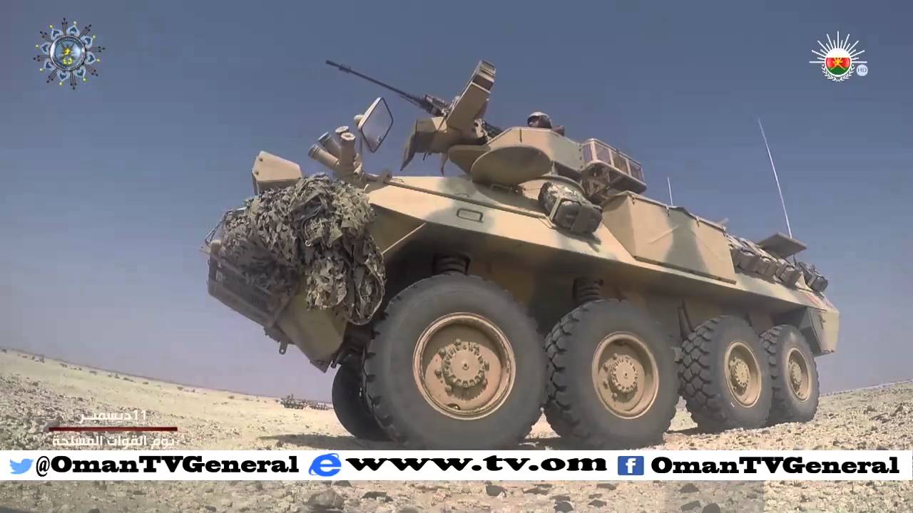 الفيلم الوثائقي | حماة العرين