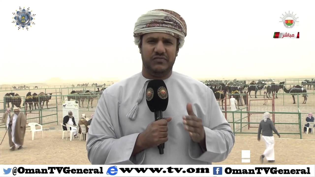 قهوة الصباح | الثلاثاء 8 ديسمبر 2015 م