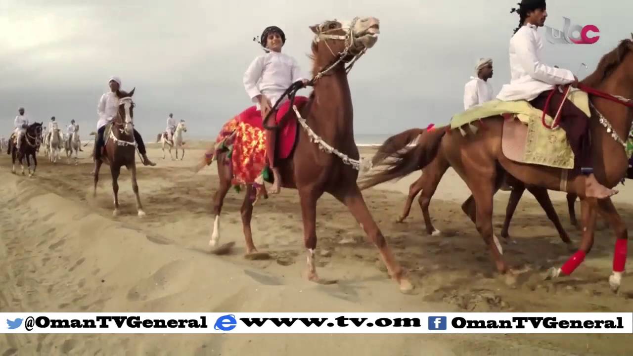 أخبار عمان | الأربعاء 13 يناير 2016م