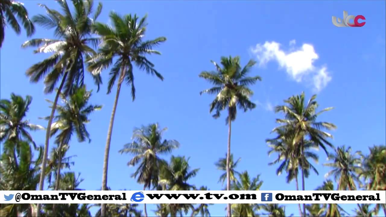 روزنامة | الخميس 14 يناير 2016م