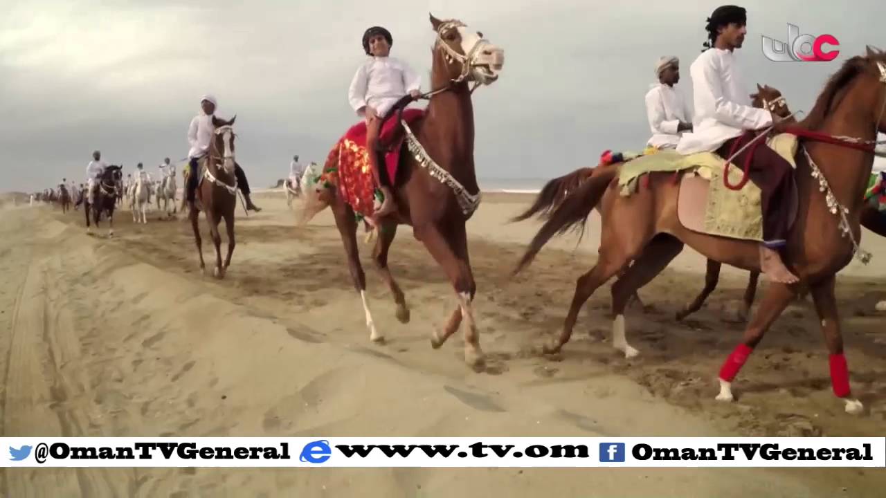 أخبار العاشرة | السبت 23 يناير 2016م