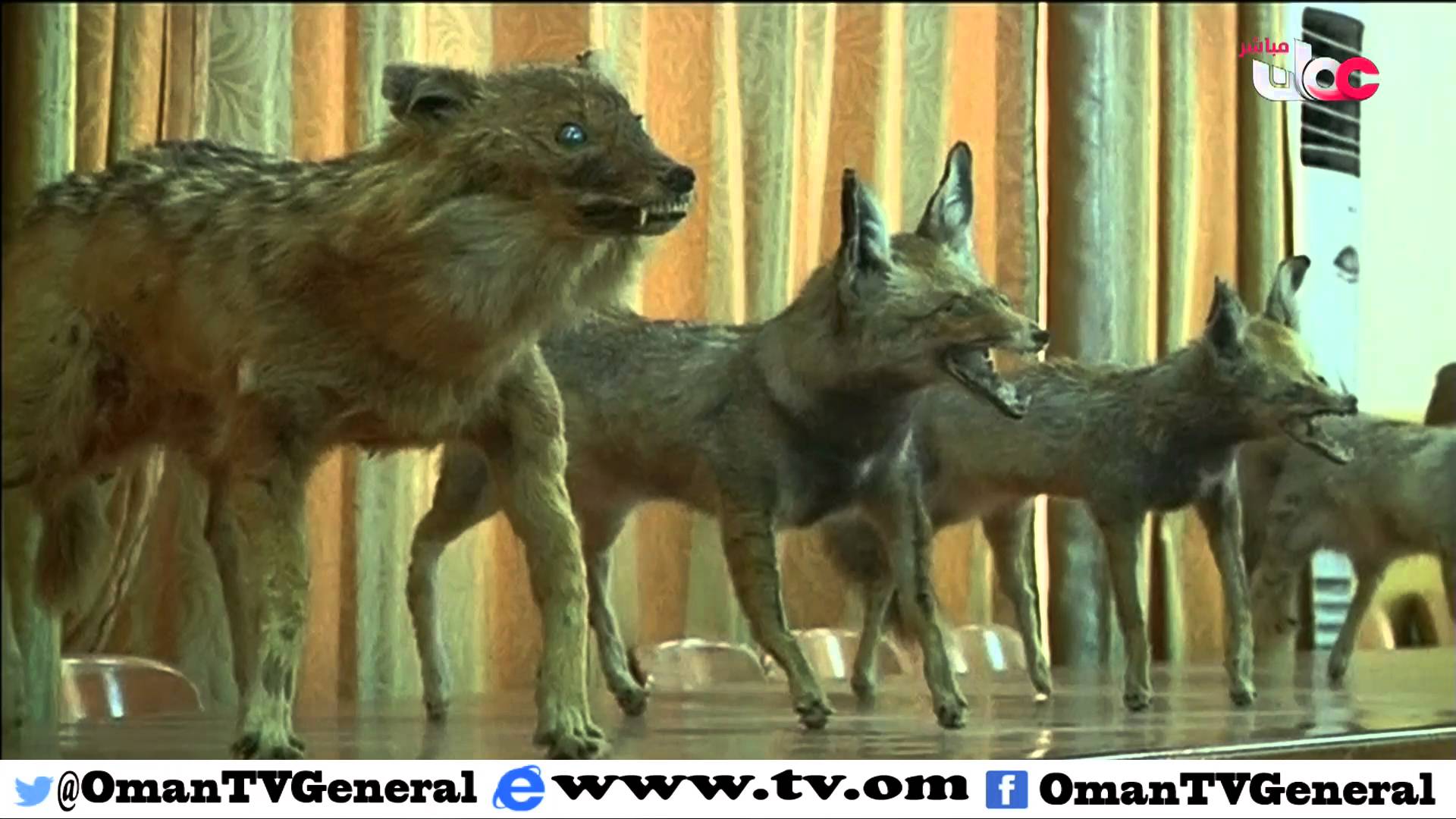 قهوة الصباح | الإثنين 25 يناير 2016م