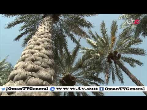 روزنامة | الثلاثاء 26 يناير 2016م