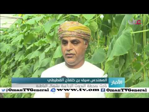 أخبار  عمان | الخميس 7 يناير 2016م