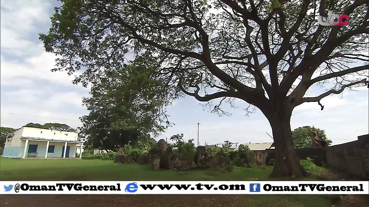 روزنامة | السبت 9 يناير 2016م