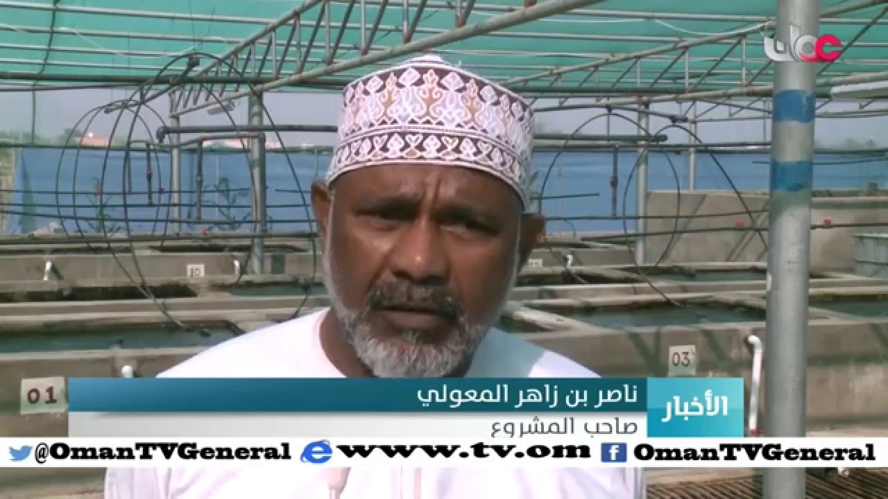 أخبار عمان | الخميس 4 فبراير 2016م