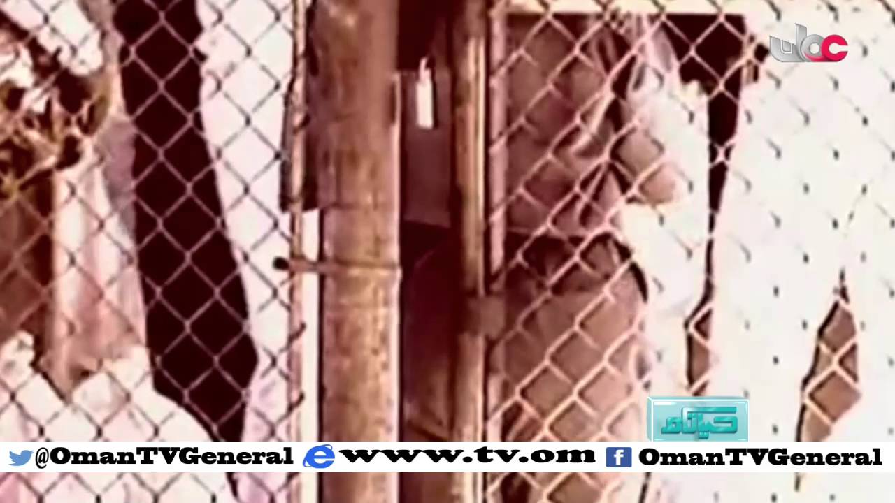 تقرير في برنامج حياتكم | سجن آخر بعد السجن | الجمعة 29 يناير 2016م