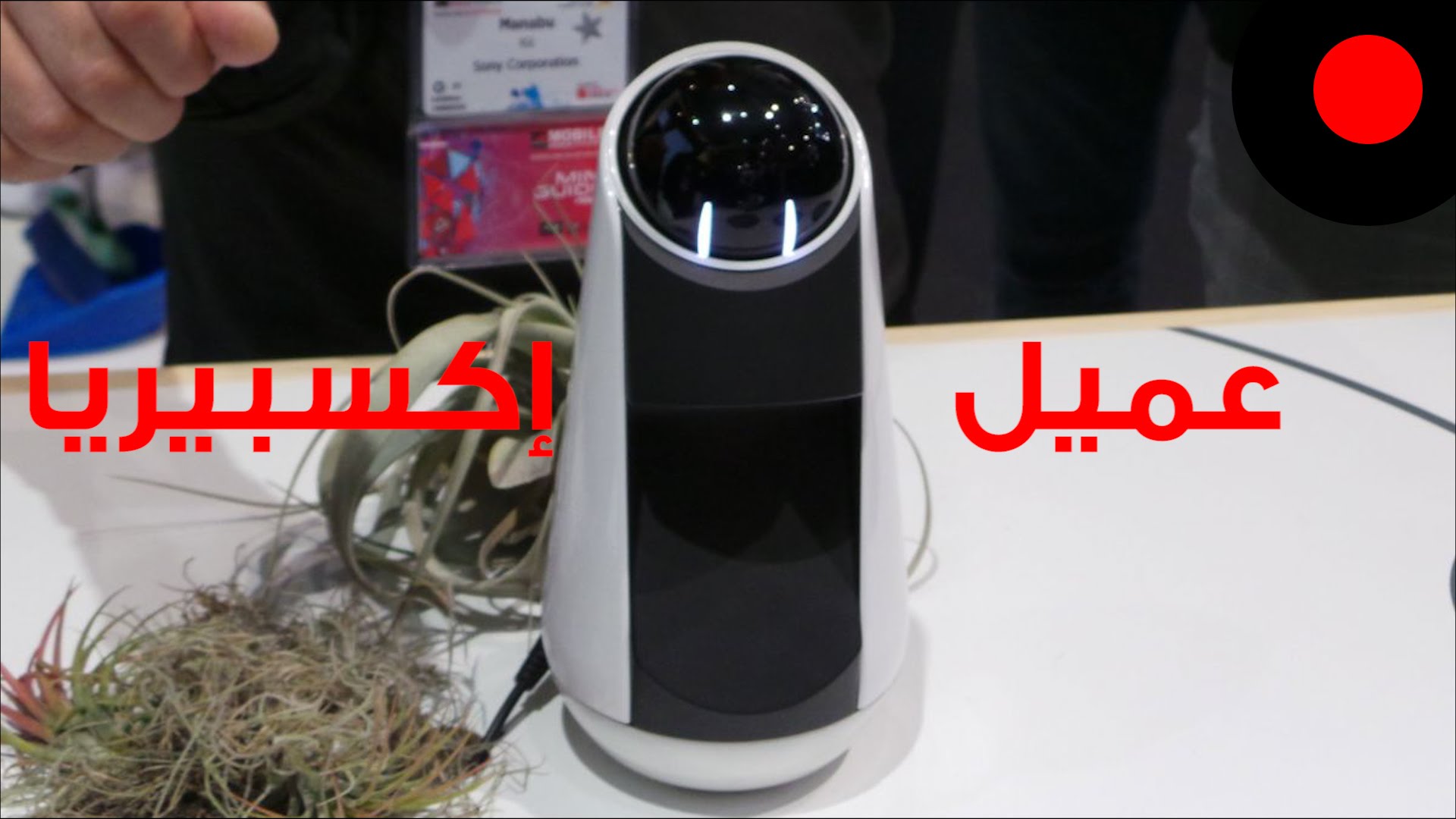 نظرة أولى على سوني إكسبيريا ايجينت Sony Xperia Agent