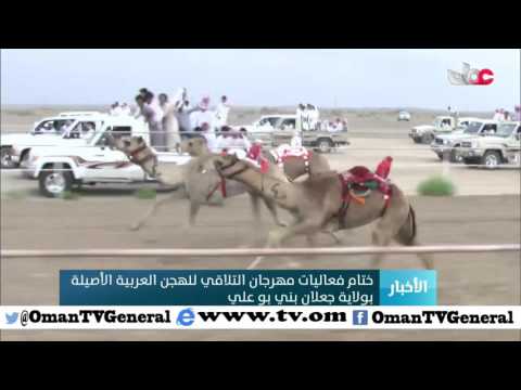 ختام فعاليات مهرجان التلاقي للهجن العربية الأصيلة بولاية جعلان بني بو علي