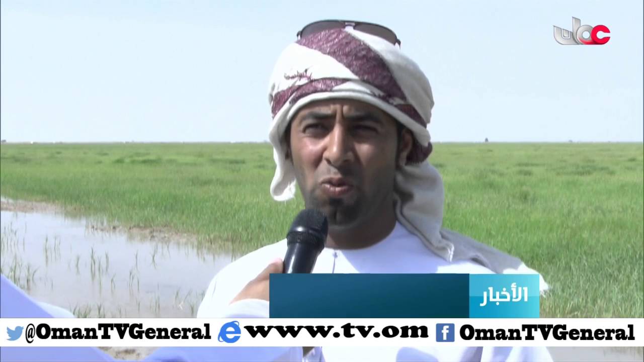 الطبيعة الخلابة في قوع الجوبة بولاية محوت مقصد سياحي لمعايشة جمال الطبيعة