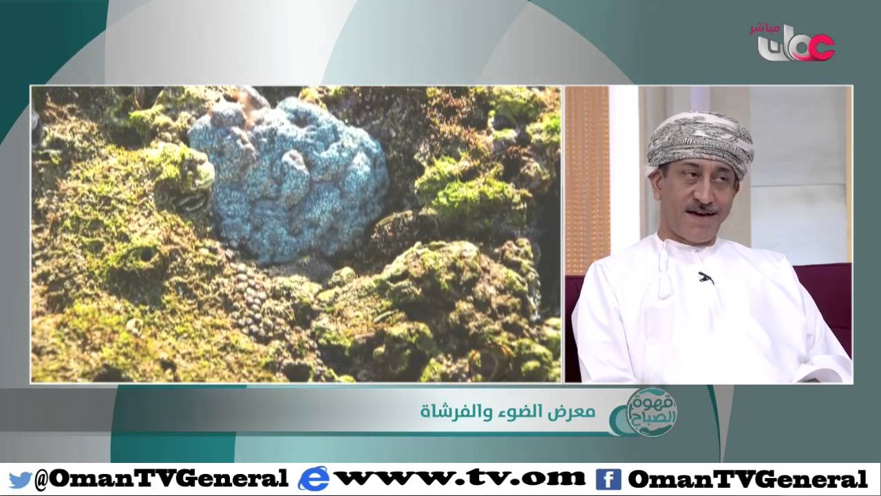 معرض الضوء والفرشاة | قهوة الصباح | الإثنين 11 أبريل 2016م1