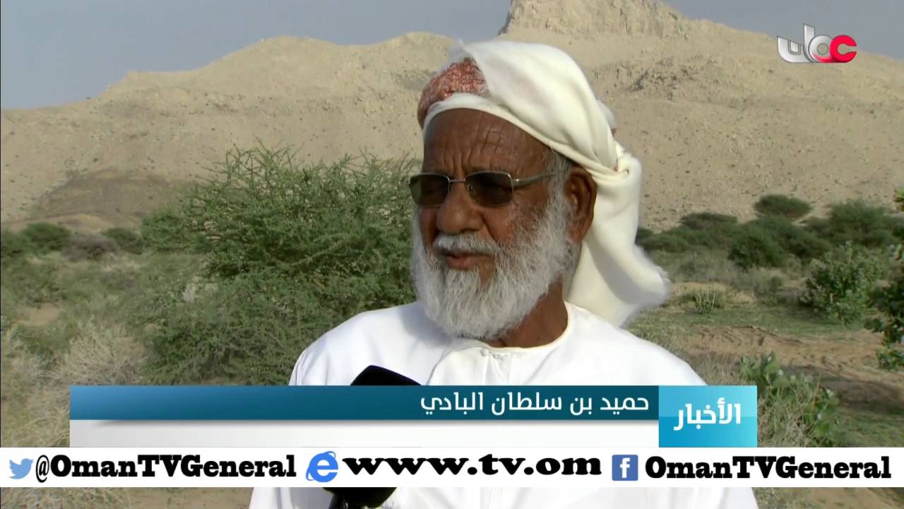 مساحات خضراء في قرى وولايات محافظة الظاهرة بعد الأمطار