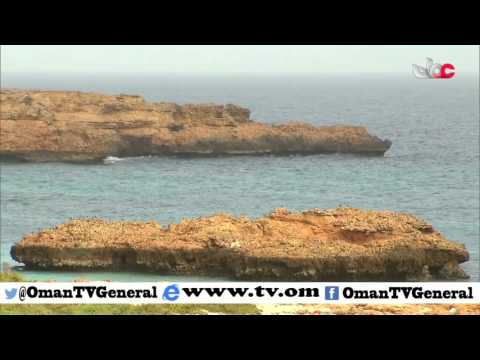 روزنامة | الإثنين 11 أبريل 2016م