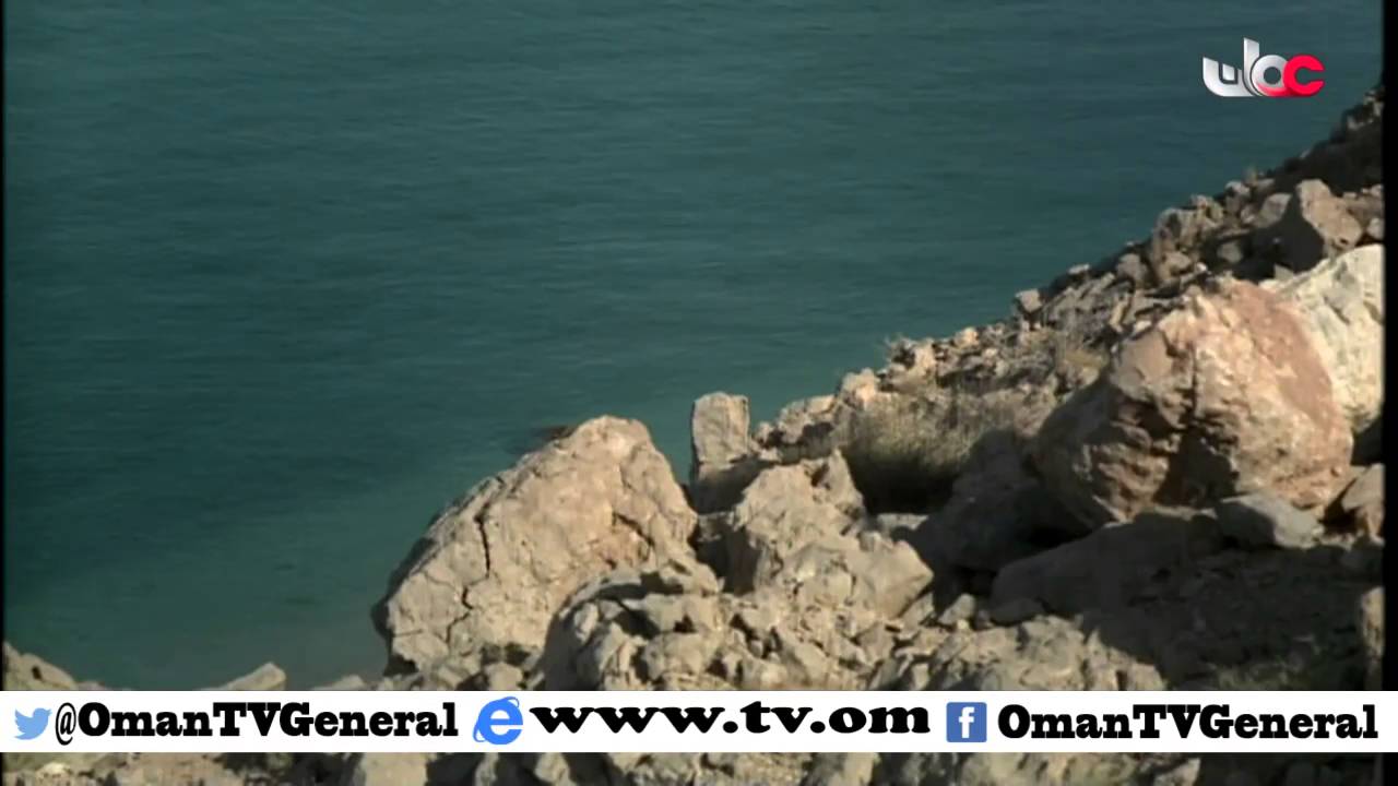 روزنامة | الخميس 21 أبريل 2016م