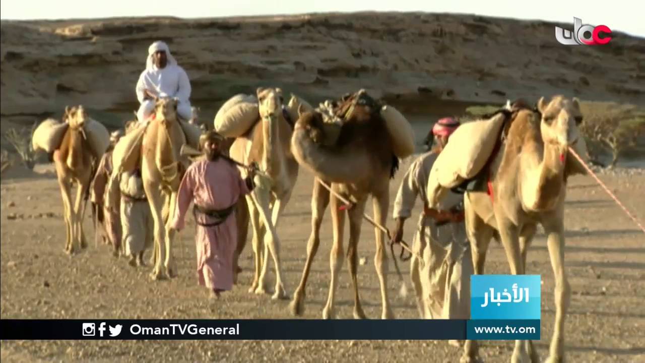 حلقة عمل تناقش الحلول الناجحة للحفاظ على شجرة اللبان