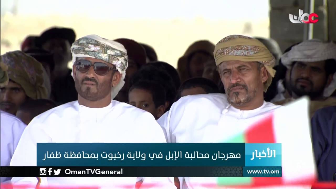 مهرجان محالبة الإبل في ولاية رخيوت بمحافظة ظفار
