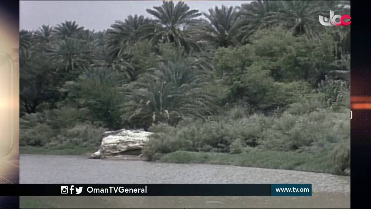 روزنامة | الخميس 19 مايو 2016م