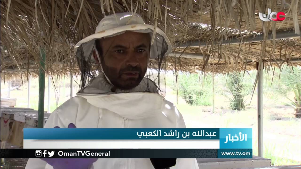 النحالون في ولاية محضة يستعدون لموسم إنتاج العسل