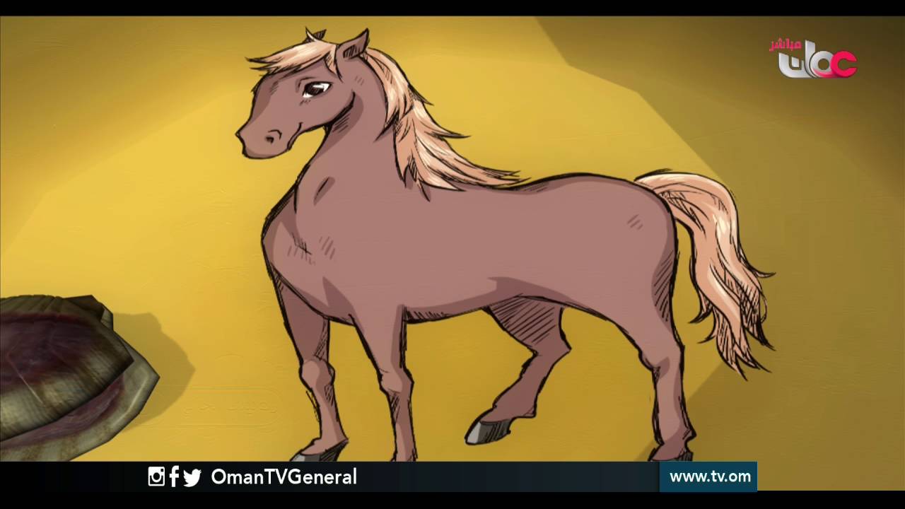 أصداف وأهداف | الأحد 13 رمضان 1437 هـ