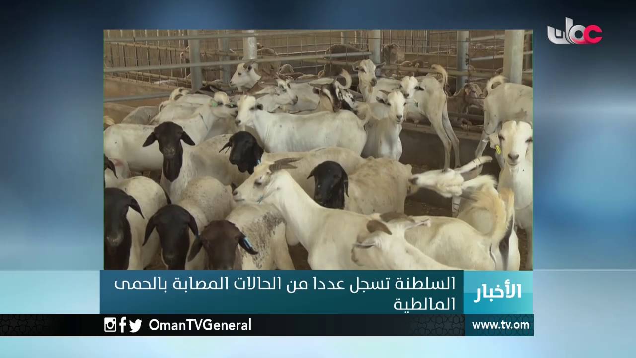 أخبار الخامسة | الجمعة 29 يوليو 2016م