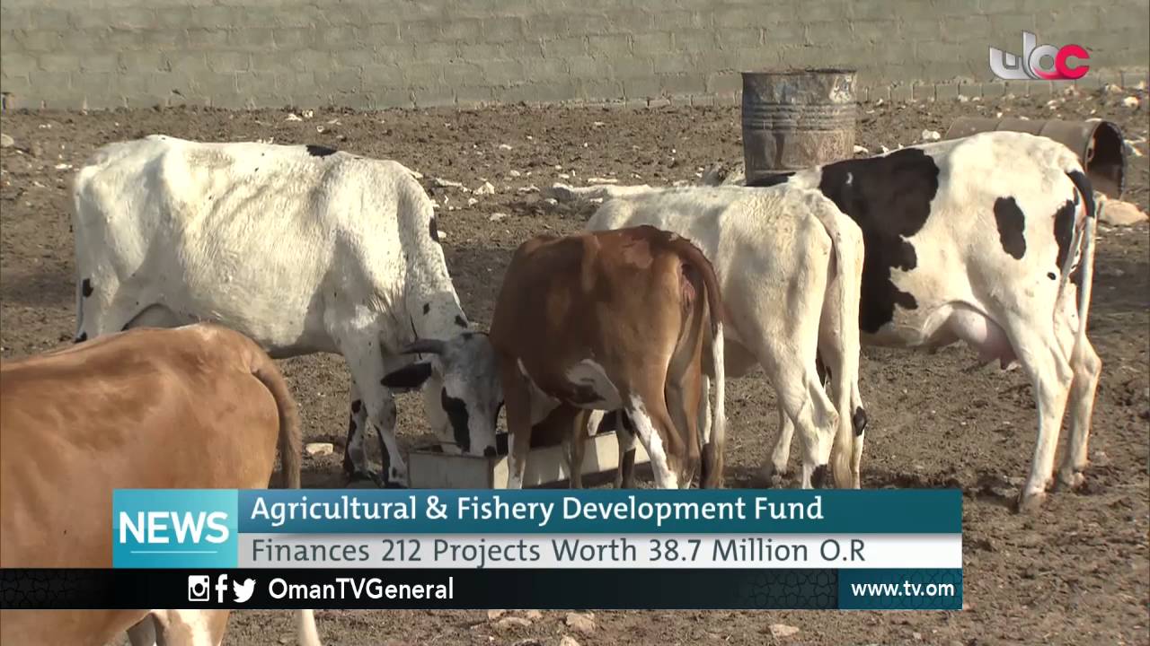 English News Bulletin – Saturday 16 July 2016