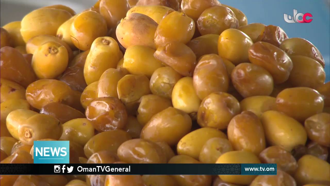 English News Bulletin – Monday 8 August 2016