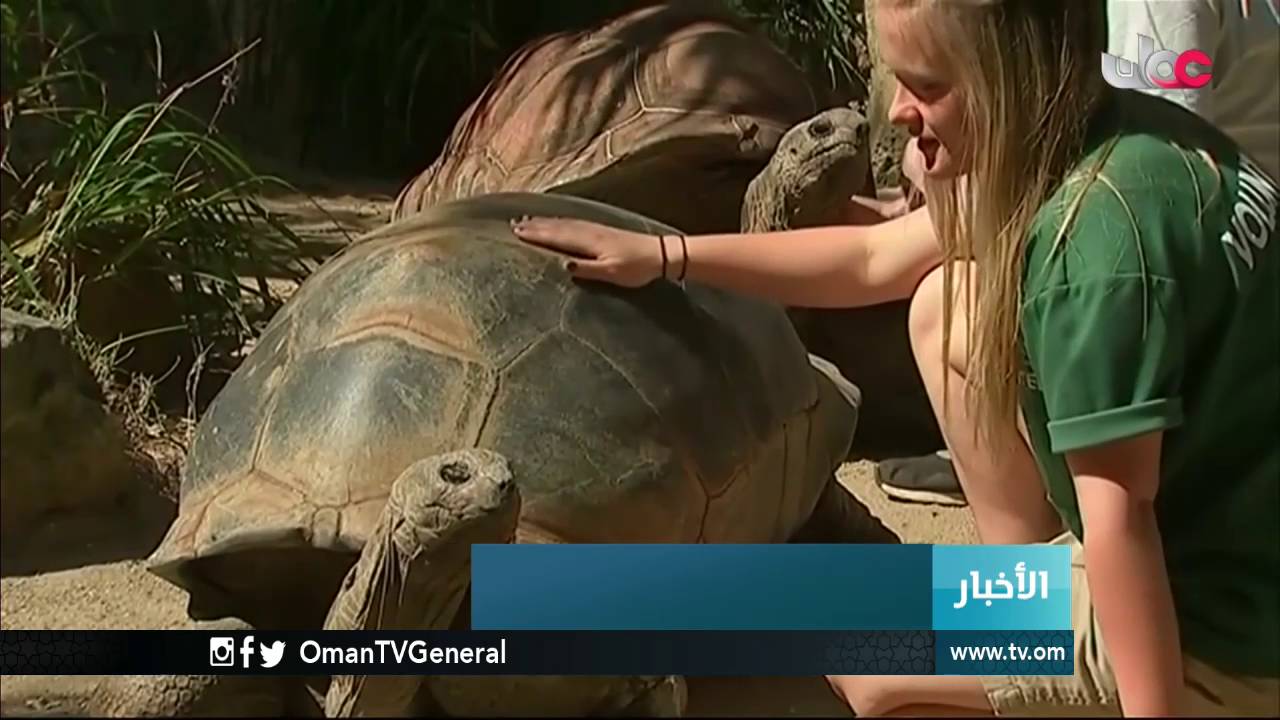 أخبار الخامسة | السبت 8 أكتوبر 2016م