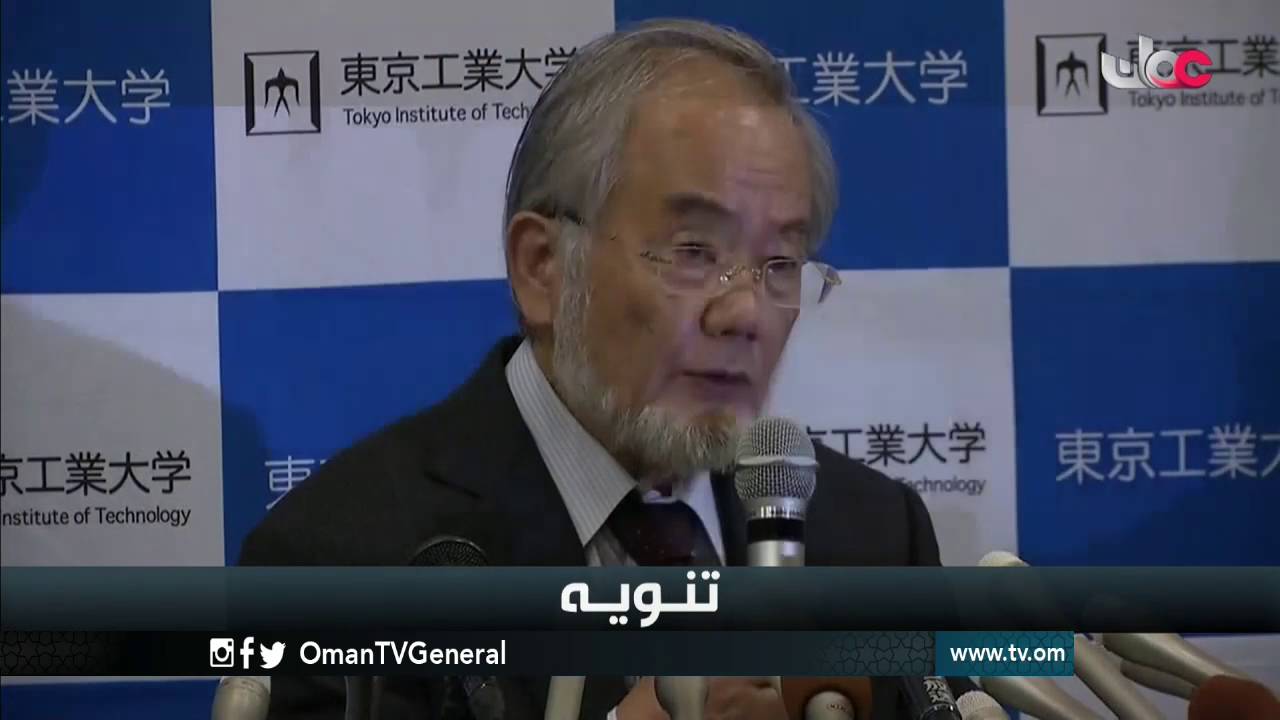 English News Bulletin – Monday 3 October 2016