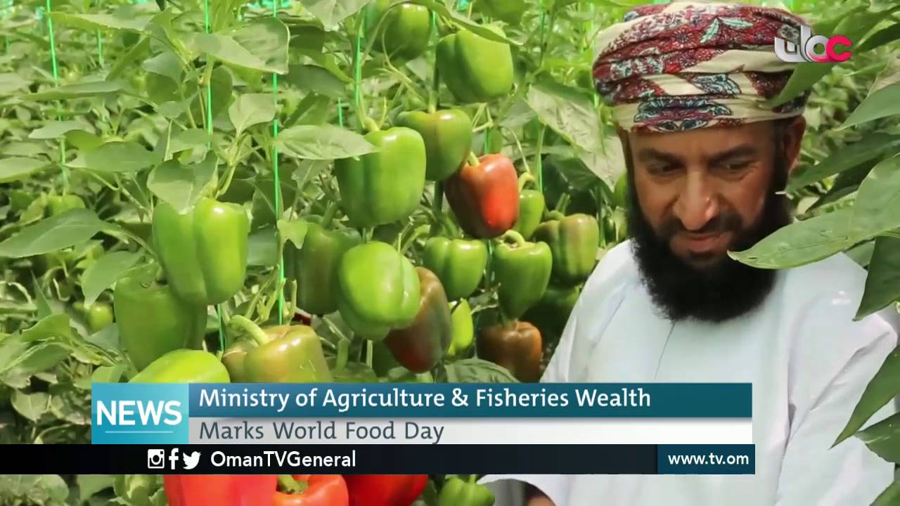 English News Bulletin – Sunday 16 October 2016