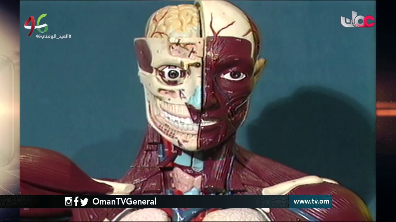 روزنامة | الإثنين 14 نوفمبر 2016م