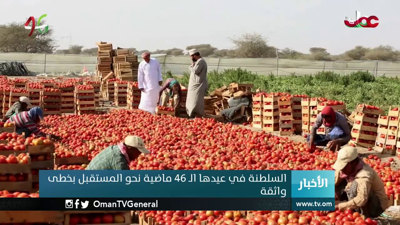 السلطنة في عيدها الـ 46 ماضية نحو المستتقبل بخطى واثقة