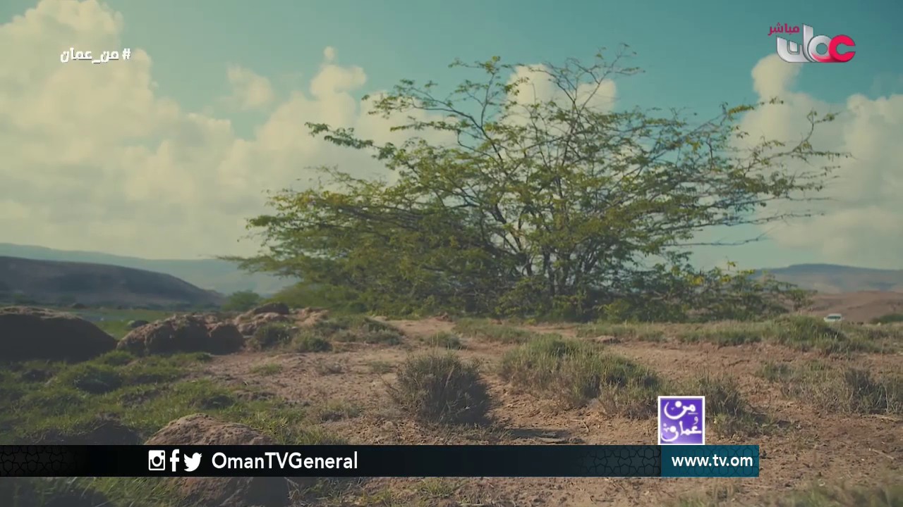 خور روري .. جمال يثير الدهشة