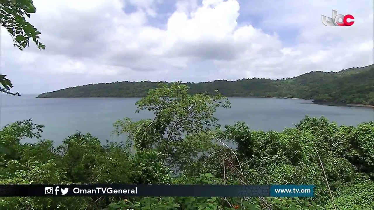 روزنامة | الإثنين 9 يناير 2017م