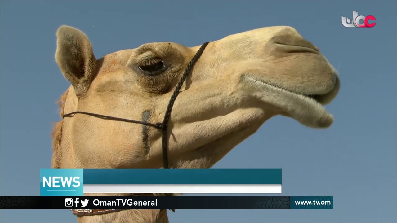 English News Bulletin – Friday 13 January 2017