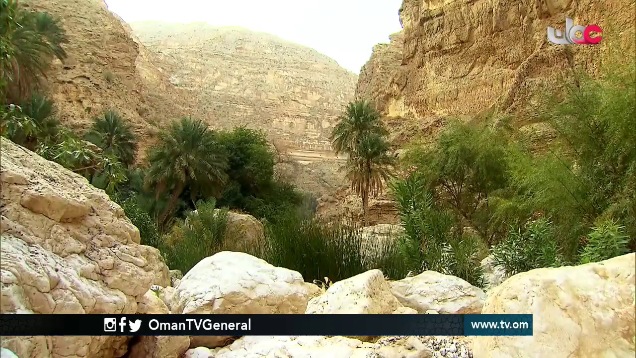 قرية #تعب الليلة بعد نشرة أخبار العاشرة