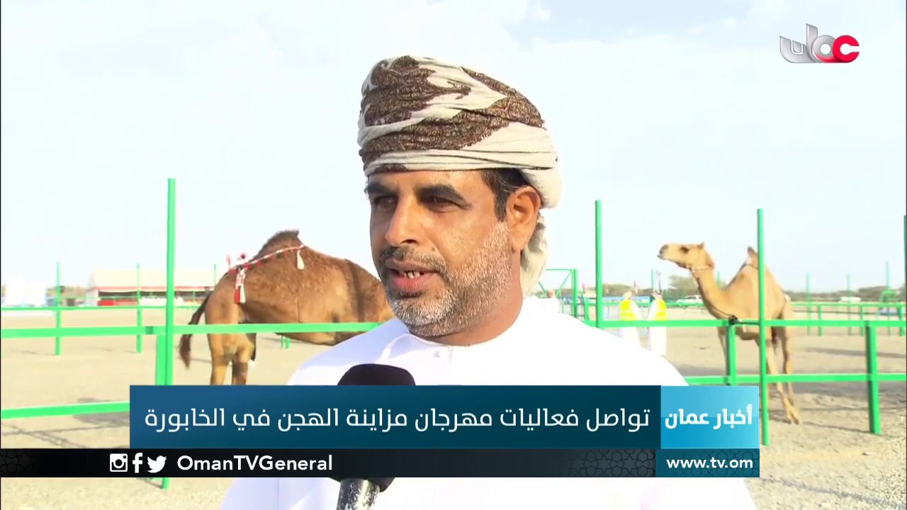 تواصل فعاليات مهرجان مزاينة الهجن في الخابورة