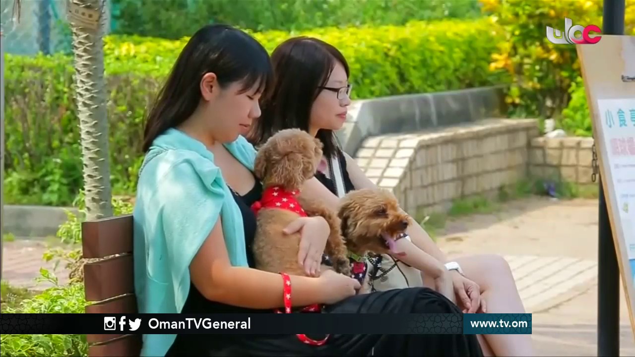 المجهر | الجمعة 24 مارس 2017م