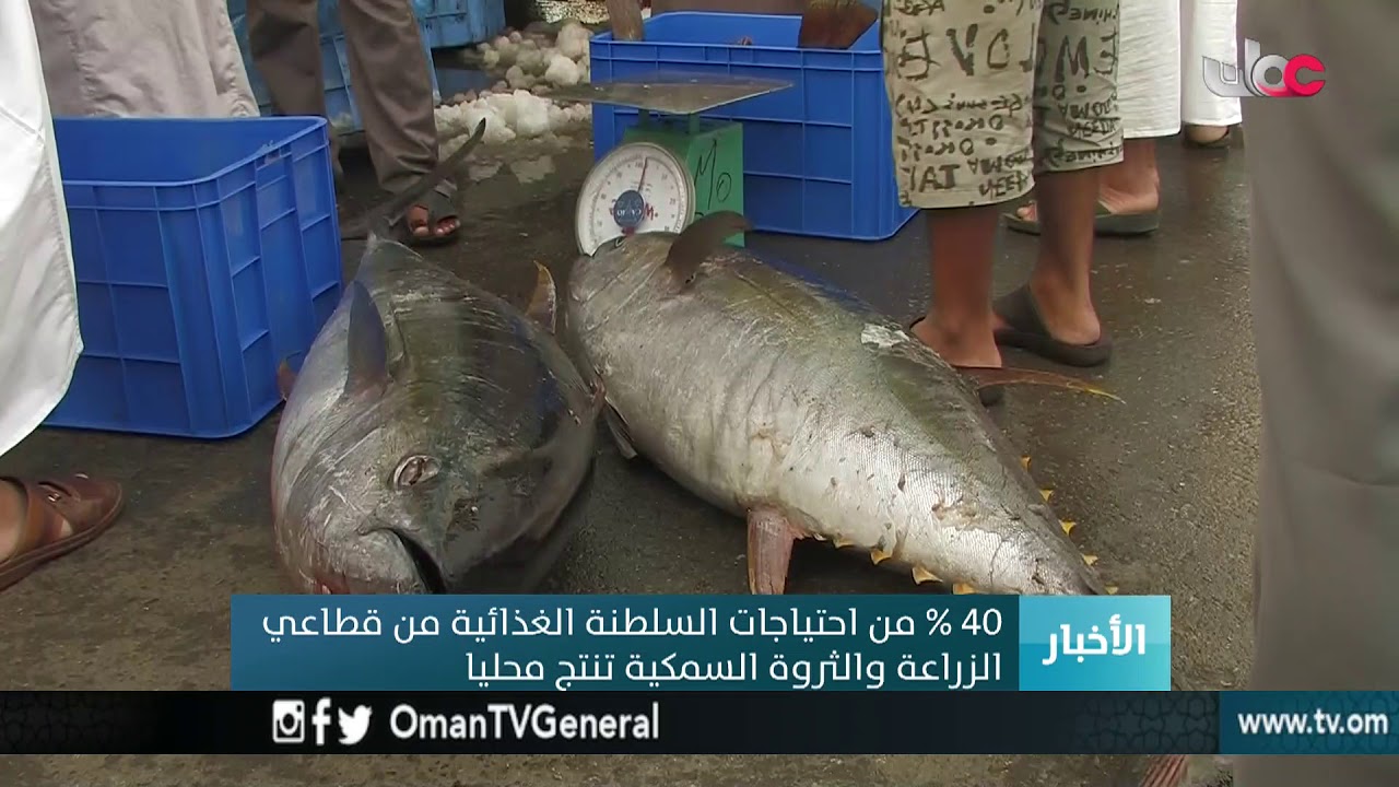 40 % من احتياجات #السلطنة الغذائية من قطاعي الزراعي والثروة السمكية تنتج محليا