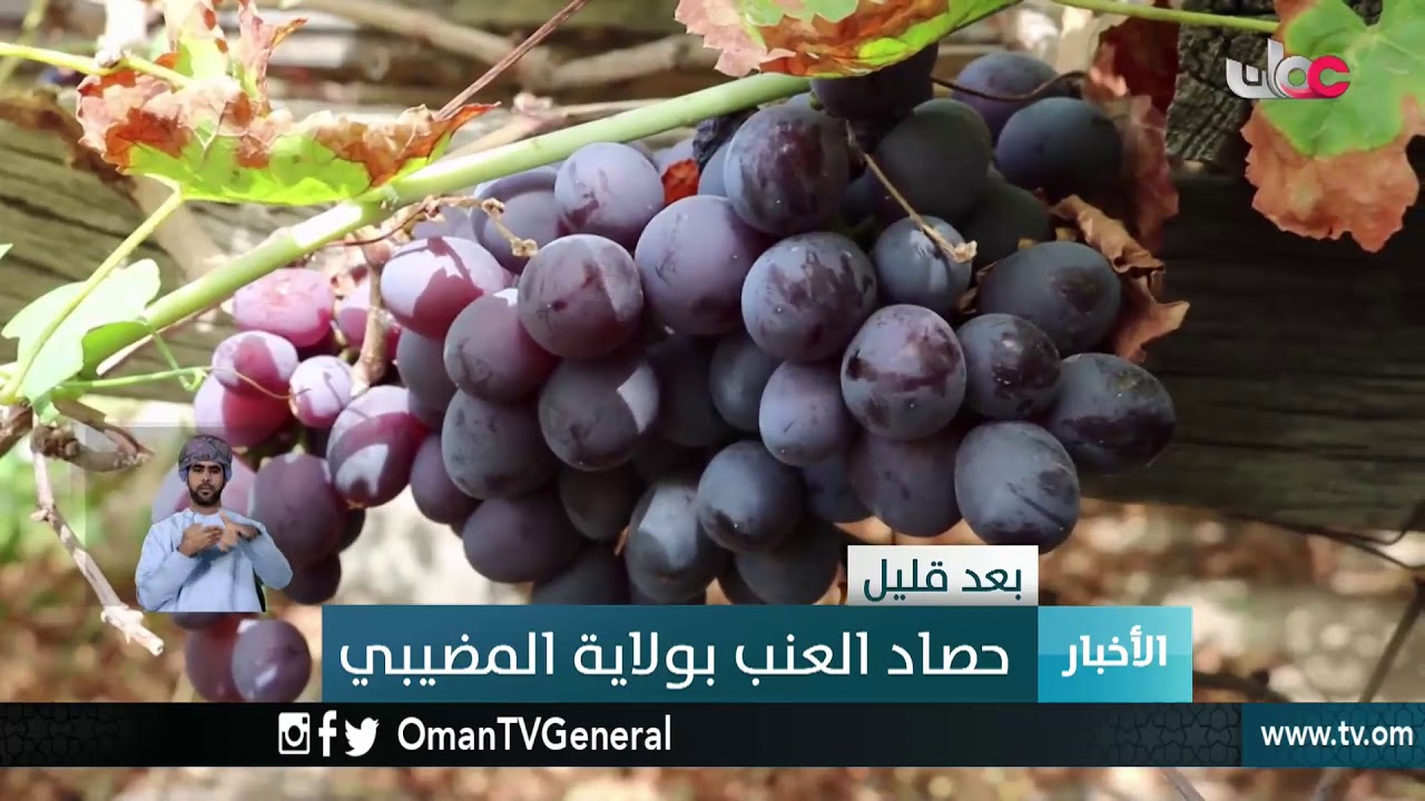 أخبار العاشرة | الأربعاء 28 رمضان 1439 هـ