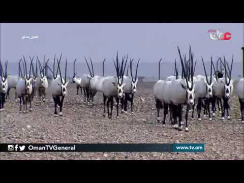 عمان الجميلة | #من عمان