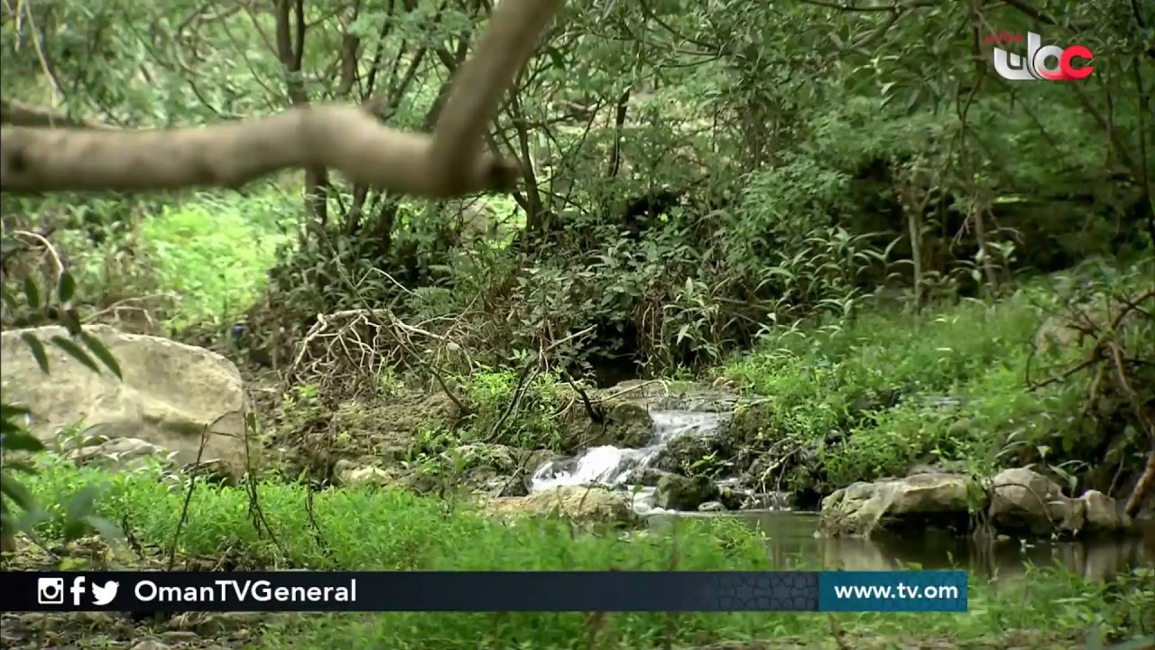 كان في زمان الماضي | من صلالة